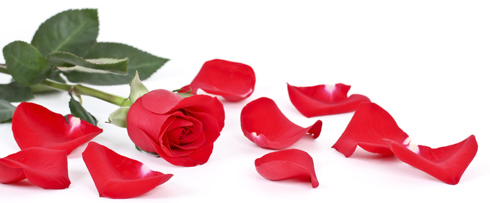 Promotion Saint Valentin